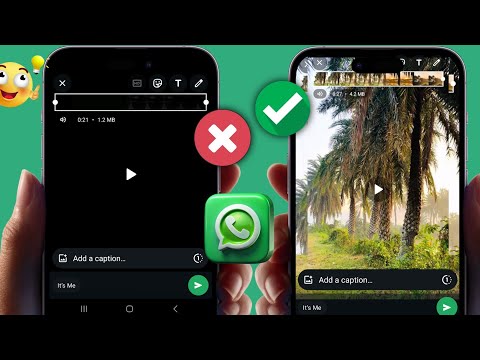 كيفية إصلاح شاشة WhatsApp السوداء عند إرسال مقاطع الفيديو والصور