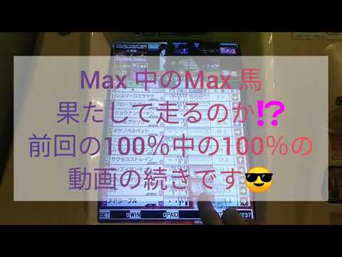 スタホリターンズ　Max中のMax 馬　果たして走るのか⁉️