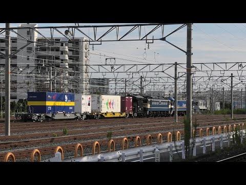 京都鉄道博物館特別展示車両返却の撮影です。～EF65＆コキ110-1＆ヨ8891など～（R6.9.25）