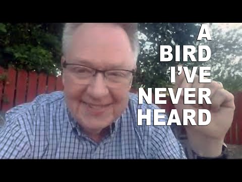 A Bird I've Never Heard