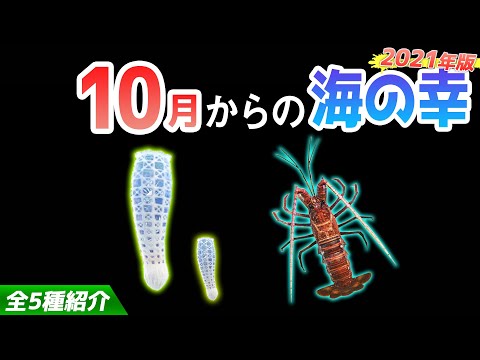 【あつ森】10月から捕れる海の幸を紹介！イセエビやカイロウドウケツなどベルも稼げるレアな生き物が大量！出現時間・影のサイズ・捕まえ方・値段など解説【あつまれどうぶつの森　10月海の幸図鑑コンプリート】