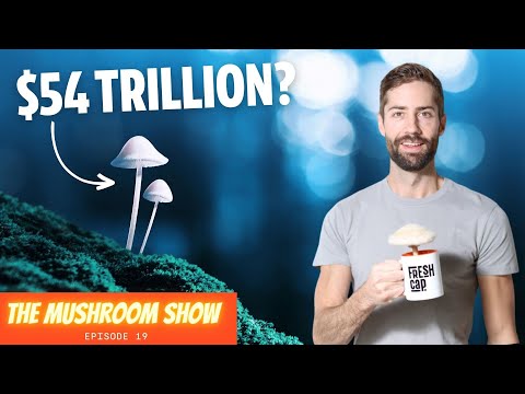 The Insane Value Of Mushrooms: Why Our World Wouldn't Function Without Fungi (TMS EP 19)