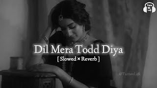 Dil mera tod diya usne (Slowed & Reverb) Alka yagnik | dil mera tod diya usne bura kyu manu LoFi