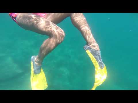 Seychelles Snorkle