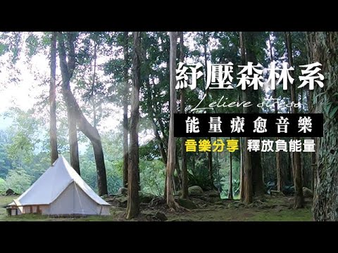 《森林療癒系》來自大自然的森林療癒心靈紓壓｜soul relieve stress｜純音樂分享版露營 森林美景實拍 釋放負能量 鋼琴聲 美容芳療鋼琴音樂