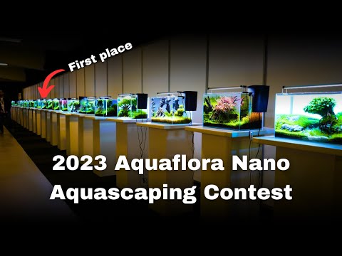 26 AMAZING NANO AQUASCAPES! 2023 Aquaflora Nano Aquascaping Contest