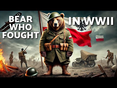 Wojtek the BEAR Who Became a SERGEANT in the ARM 🐻💣 The SOLIDER BEAR