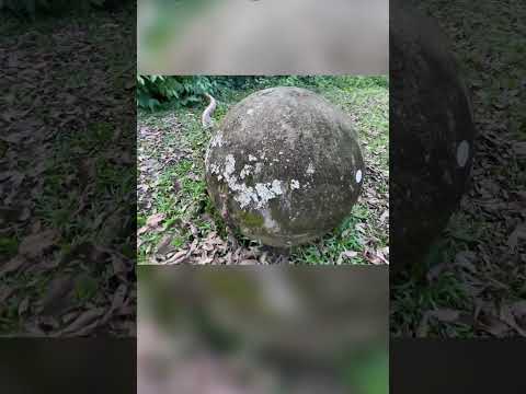 Exploring the Mystical Pre-Columbian Stones at Uvita Waterfall #viral #columbia  #explore #shorts