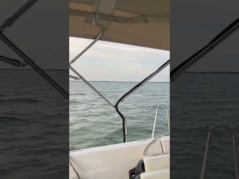 SV Keeper - Choptank River, Keep Sailing Until Sunrise