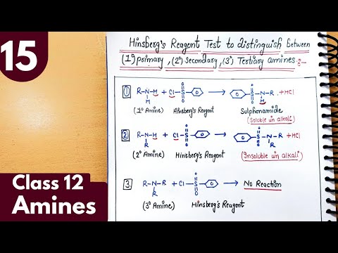 15) Hinsberg's Reagent| Hinsberg's Test to distinguish primary, sec, tert amines| Amines Class12