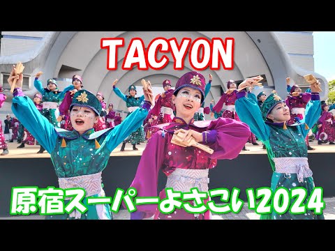 【4K60p】原宿スーパーよさこい2024「TACYON」