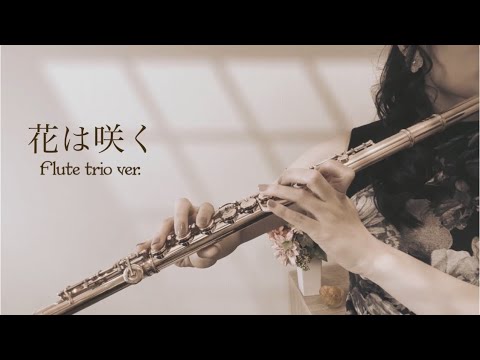 花は咲く/フルート三重奏ver.