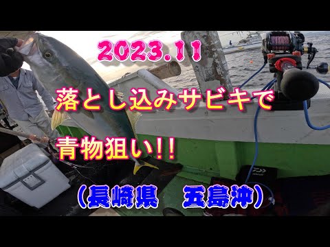 Drop-in fishing (boat fishing) (yellowtail, etc.) (Off the coast of Goto, Nagasaki Pref) 4K 2023.11