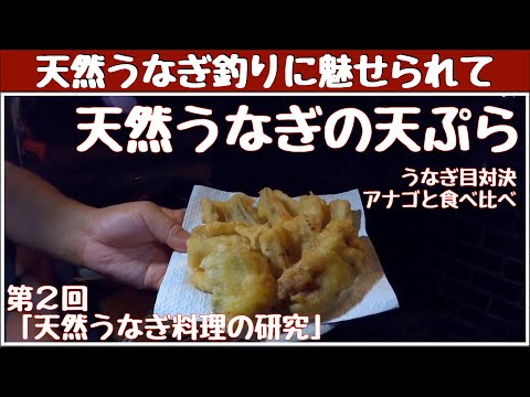 天然うなぎ釣りに魅せられてシリーズ　第2回 天然うなぎ料理の研究 うなぎの天ぷら