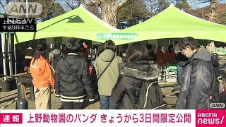 上野動物園の双子パンダ　きょうから3日間“限定公開”　感染拡大で(2022年1月12日)