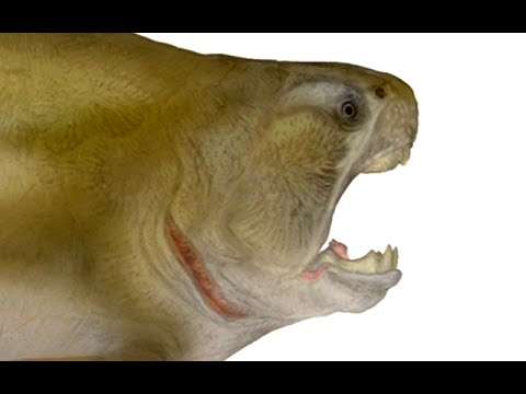 Paleo Profile - Dunkleosteus