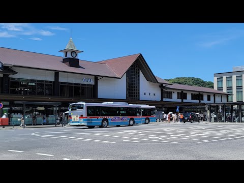 Summer Day Around Kamakura Station & Beach! Come Say Hi!