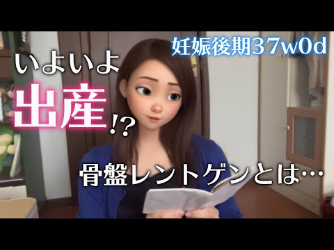 【妊娠後期】37w0d 出産が近づいてる…！？👶🏻骨盤レントゲンを撮ることになりました。