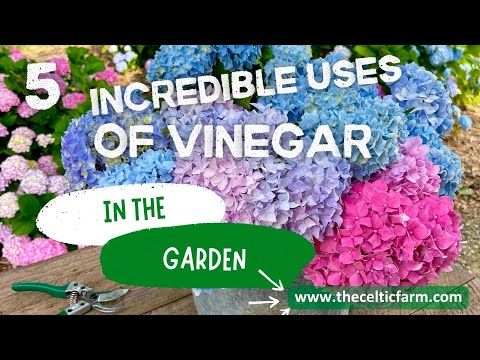 5 Genius Ways to Use Vinegar in Your Garden | Natural Hacks Every Gardener Should Know!