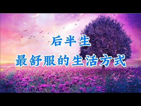 《后半生最舒服的生活方式》与自己握手言和，才能得到心的解脱