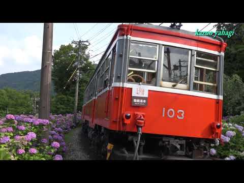 箱根登山電車 あじさい電車 2018年6月22日