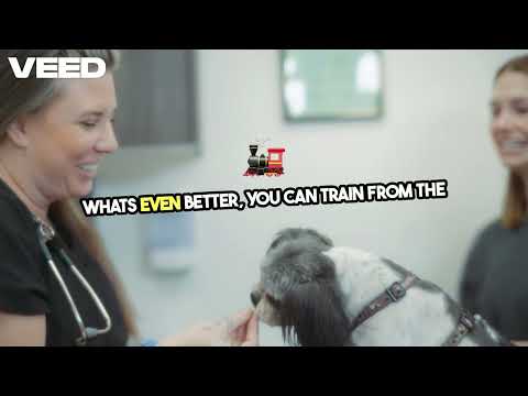 Brain Training for Dogs Review