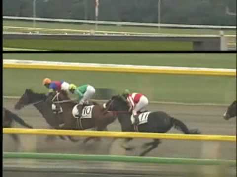 2002年2月17日 東京8R  サラ系4歳上1000万下 アグネスパートナー