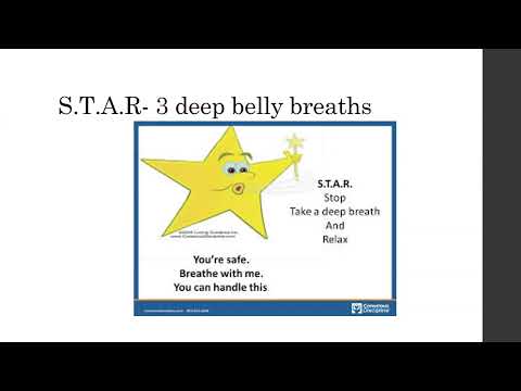 15. Survival State Strategy: Breathing STAR (Red Brain)