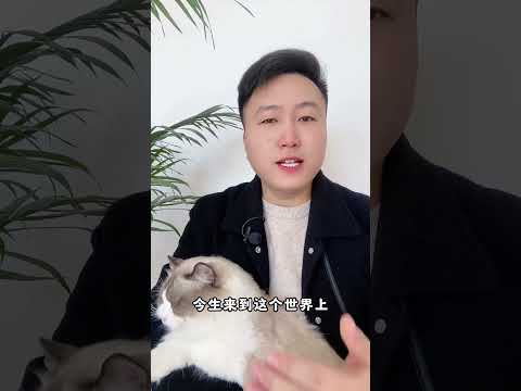 你相信自己养的猫，是前世的亲人吗？养猫经验分享 科学养宠攻略 养猫人 萌宠猫咪  好懂事的猫猫