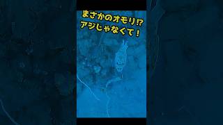 【泳がせ釣り水中映像】イカがアジを捕食！でも最後はまさかの展開に  #釣り