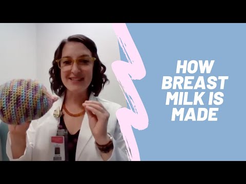 How Breast Milk is Made