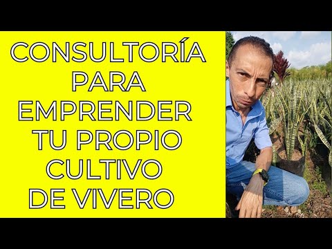 CONSULTORÍA PARA EMPRENDER TU PROPIO CULTIVO DE VIVERO