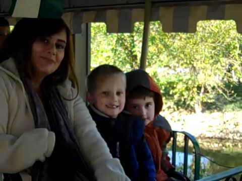 Zoo Field Trip 2011.mp4