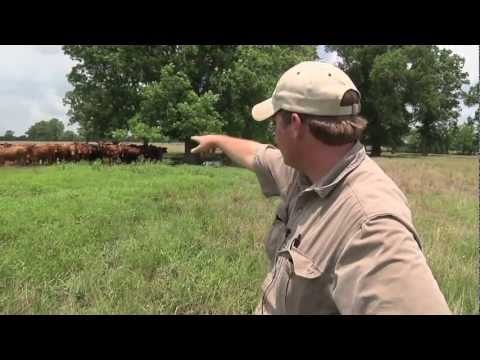 Cullen Kovak, W. Carroll Parish Cattle Rancher. (2009)