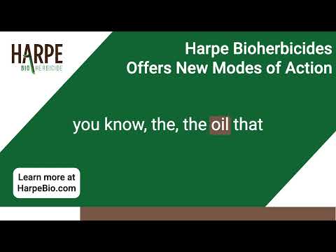 Driving Crop Protection Innovation - Harpe Bioherbicide Approach