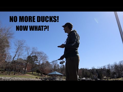 DUCK SEASON IS OVER! NOW WHAT???