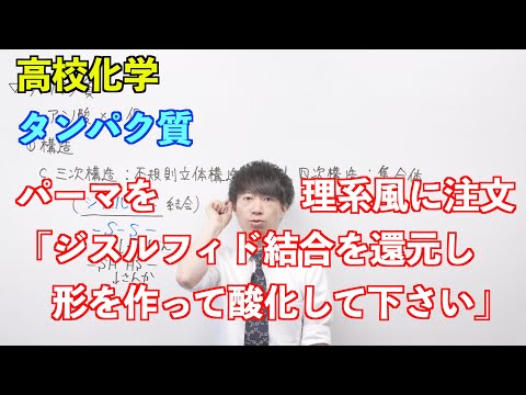 【高校化学】天然高分子⑧⑨⑩ 〜タンパク質〜