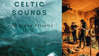 4K Celtic Fantasy Music Relaxing to Video of Atlantic Sea Life (Ultra HD)