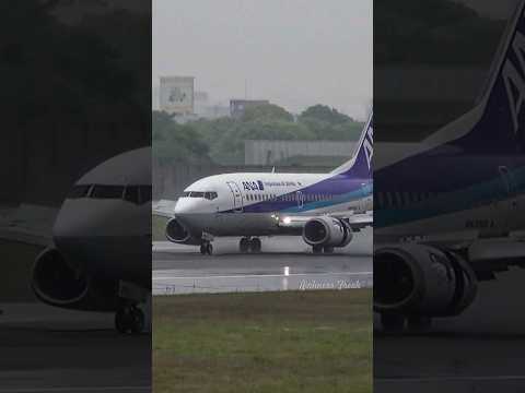 ✈️懐かしの飛行機✈️ANA 🐬B737-500 JA301K🐬