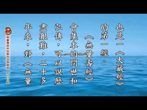 17/11/2015 -⑱刘素云老师学习报告： 无量寿经科注第四回学习班 (有字幕)