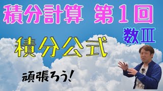 積分計算 第１回(積分公式)【数Ⅲ 積分法】現大手予備校講師の５分でわかる！高校数学