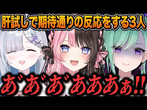 【3視点】肝試しで期待通りの反応をしてくれるすみー・ひなーの・べに【花芽すみれ/橘ひなの/八雲べに/ぶいすぽ/切り抜き/Minecraft】