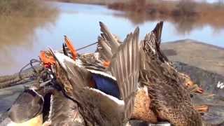 War Eagle Boats - Built for Hunters who love to Fish