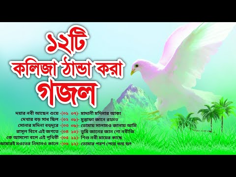 Top 12 Most Beautiful Islamic Gojol//১২টি মন প্রাণ ঠান্ডা করা গজল//New Album Gojol//Madani Gajal TV