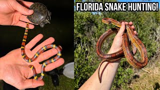 We Found a LOT of Snakes in Florida! Winter Snake Hunting in the Sunshine State!