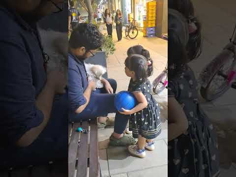 puppylove #viral#Rajahmundry#share#trendingshorts#like#fun#trending#anagha_Akshara_Sathwik#subscribe