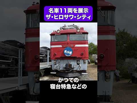 11両もの名車が展示されるザ・ヒロサワ・シティ #shorts