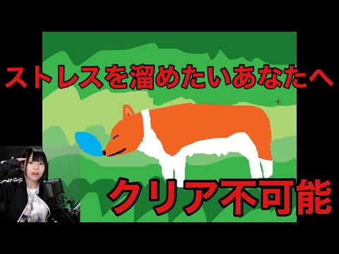 【Ain Dodo】ストレス溜めたいあなたへ