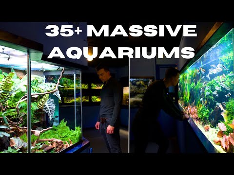 UNDERGROUND AQUARIUM - XXL FISH TANK COLLECTION