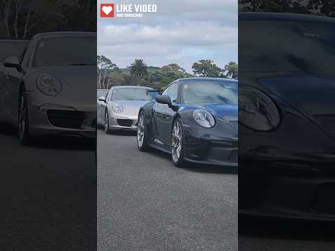 Porsche weekend drive in NZ! #porsche #porsche911 #gt3 #gt4 #nz #sportscar #911 #911gt3